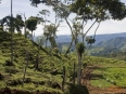 Rancho Naturalista