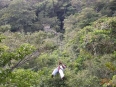 RincÃ³n de la Vieja Lodge
