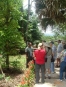 TOUR DE PLANTACIÃ“N CATIE