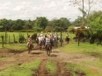 Arenal Canopy Tour