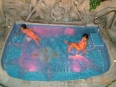 Hotel Adventure Inn
