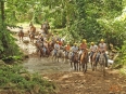 Arenal Canopy Tour