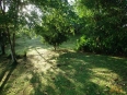 Selva Bananito Lodge