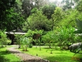 Danta Corcovado Lodge