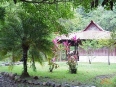 Esquinas Rainforest Lodge