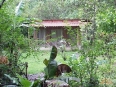 Esquinas Rainforest Lodge