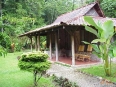 Esquinas Rainforest Lodge