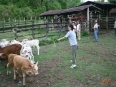 Rancho La Merced