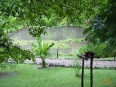 Esquinas Rainforest Lodge