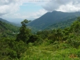 Talamanca Reserve