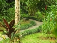 Playa Nicuesa Lodge