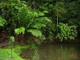 Esquinas Rainforest Lodge