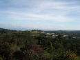 Poas Volcano Tour
