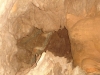 Caminata Cavernas de Savegre