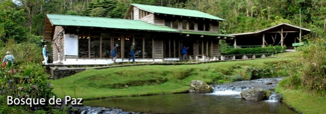 Bosque de Paz Cloud Forest Lodge