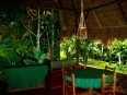 Esquinas Rainforest Lodge