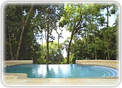 View of swimming pool and jungle