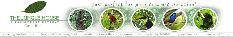 Rancho Naturalista, Costa Rica, amazing birding - home of the Snowcap