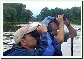 Birding in Tortuguero