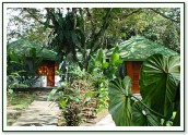 Tombolo - Manuel Antonio National Park