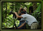 Birding in Rancho Naturalista - with Professional Guides