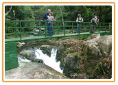Bridge over waterfall