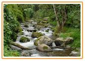 Savegre River