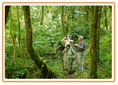 Trails in the CLoudforest