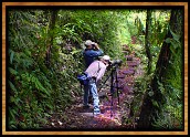 Monteverde Cloud Forest Reserve