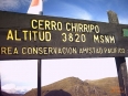 Chirripo Short Chirripo Short