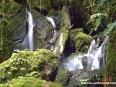 Quetzals Paradise Quetzals Paradise