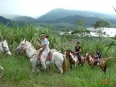 Tropical Horseback Riding Tropical Horseback Riding